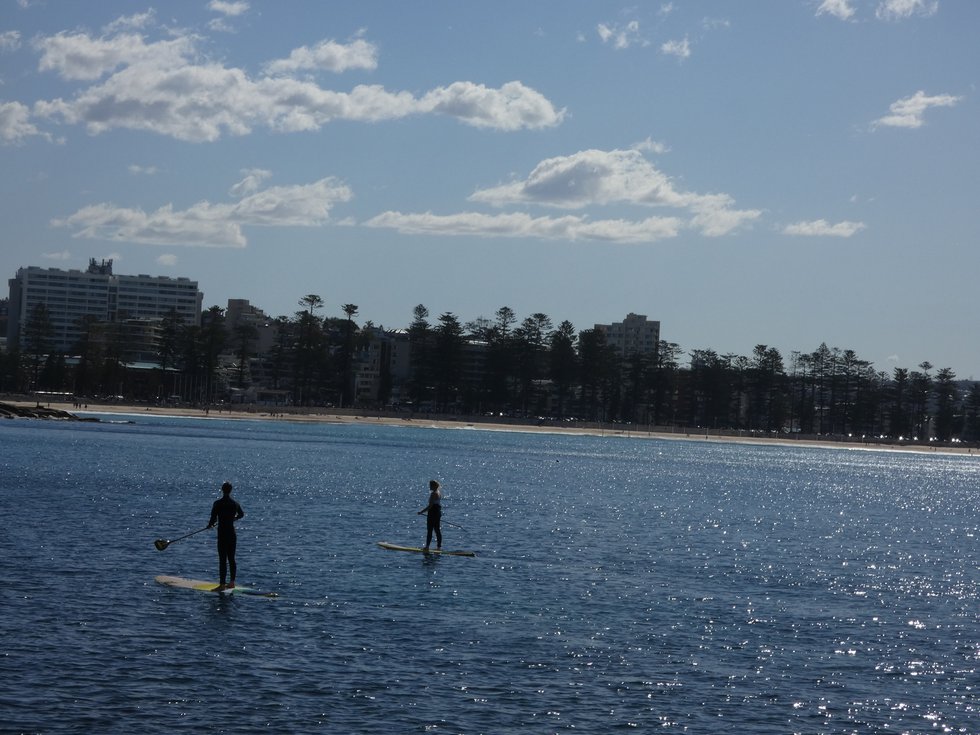 Manly Cove paddlers