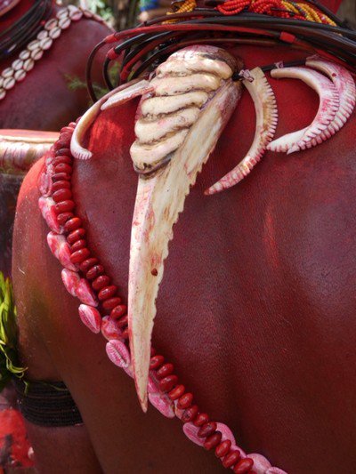 Necklace with cassowary quills and beak