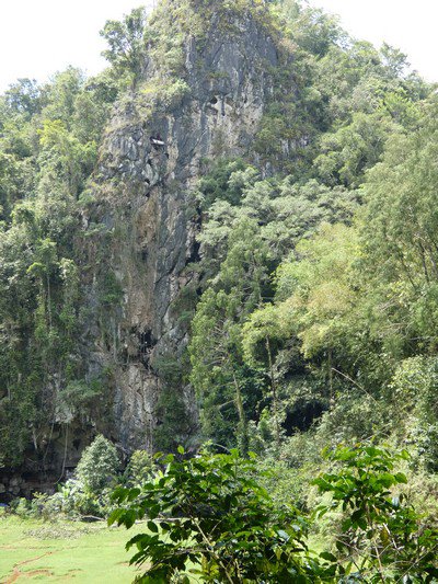 Cliff face with valley floor below