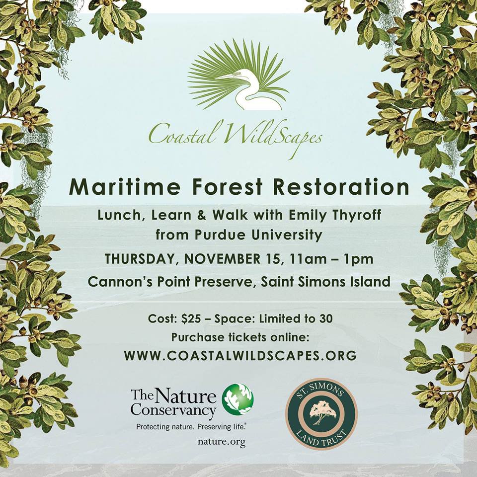 maritime forest resoration walk talk.jpg