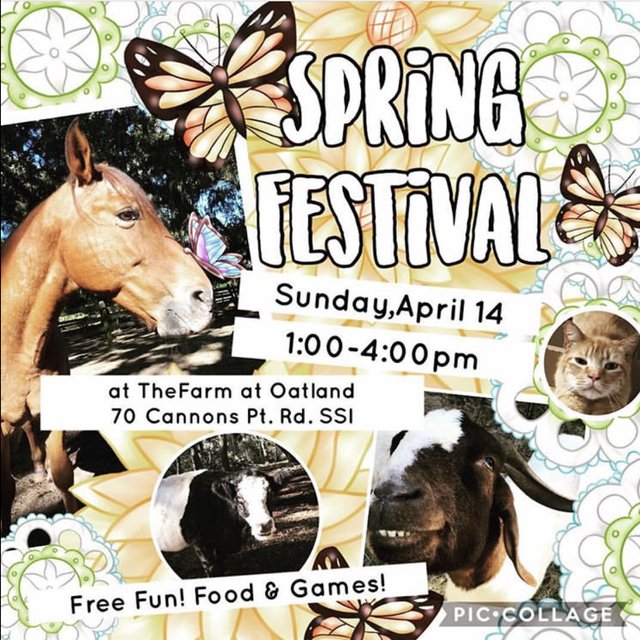 Spring Festival at The Farm 2019