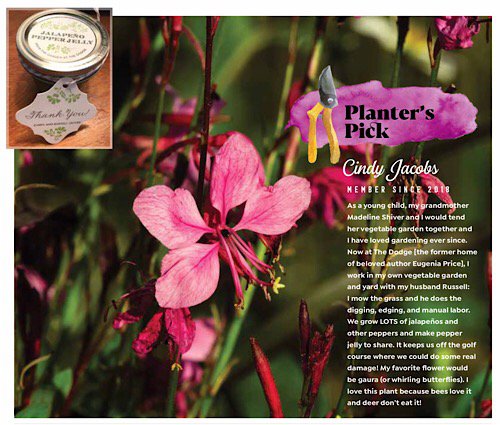 Planter’s Pick Cindy Jacobs