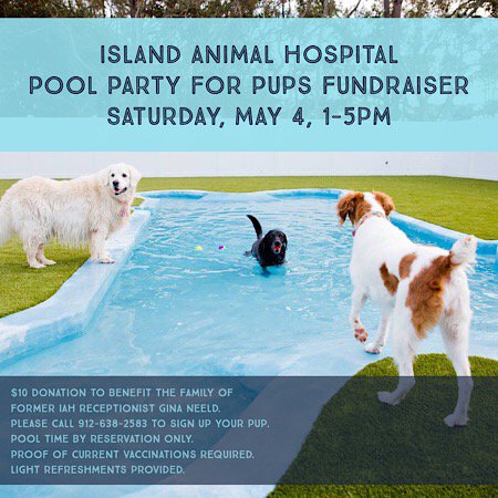 IAH Pool Party Fundraiser