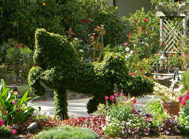 Garden6 Horse.jpg