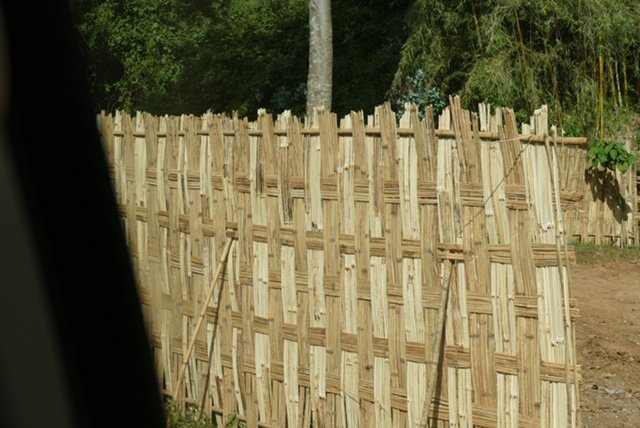 Woven bamboo fence