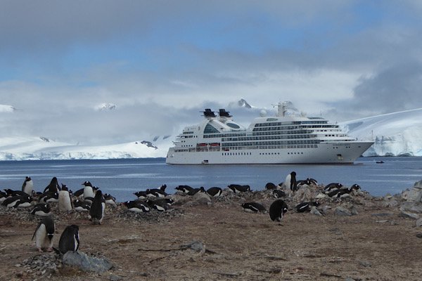 Ship and Penguins