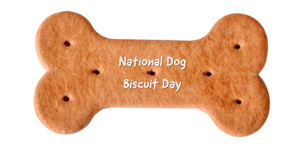 Dog biscuit