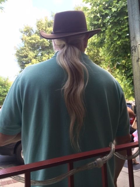Asheville ponytail.jpg