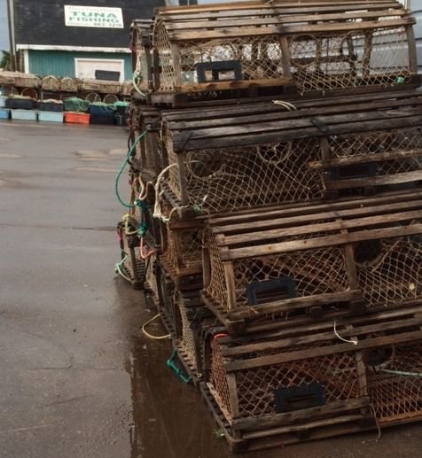 Lobster Traps everywhere - wood traps mean Canada.jpg
