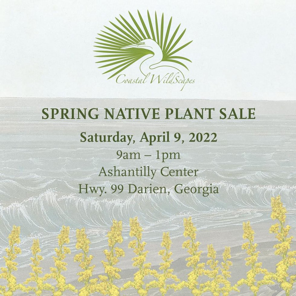 Spring Native Plant Sale 2022