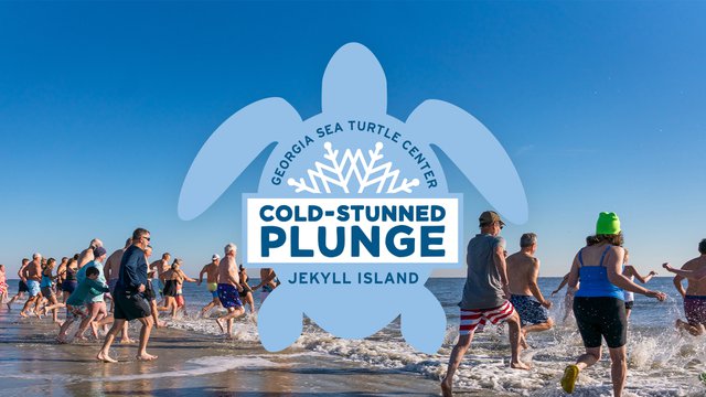 Cold Stunned Plunge 2022