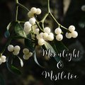 Moonlight &amp; Mistletoe