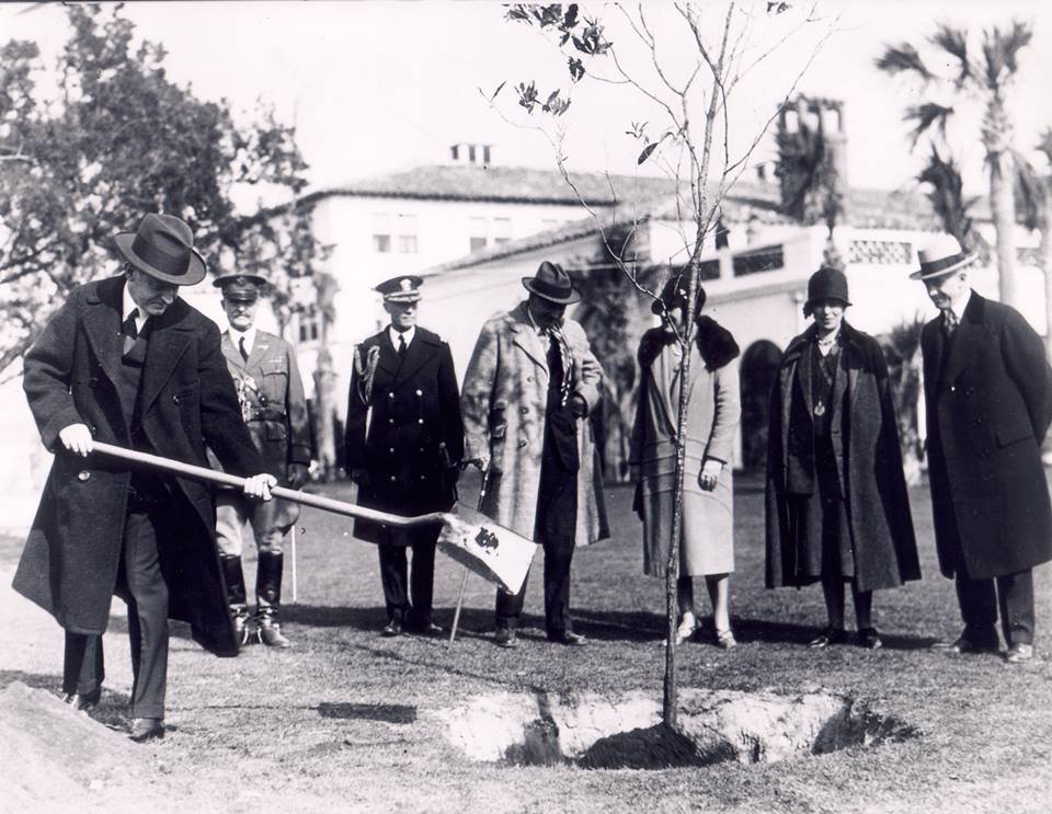 Coolidge planting tree at The Cloister