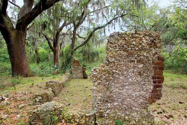 Cannon's Point-Woods and Tabby Ruins.jpg