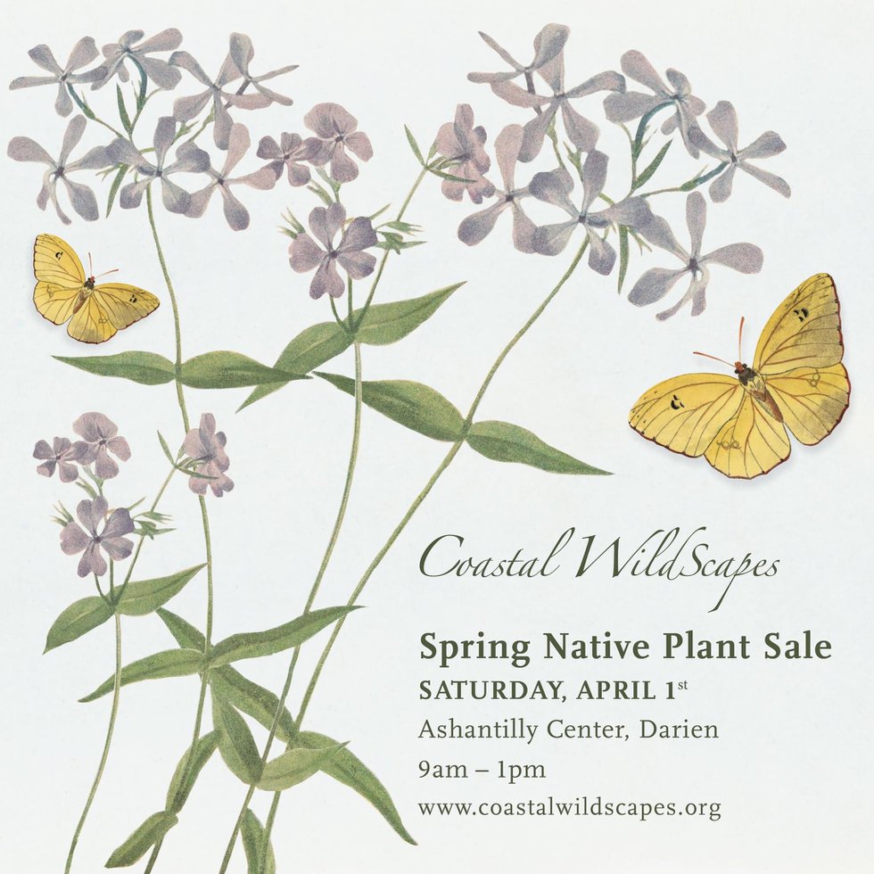 Native plant sale spring 2023