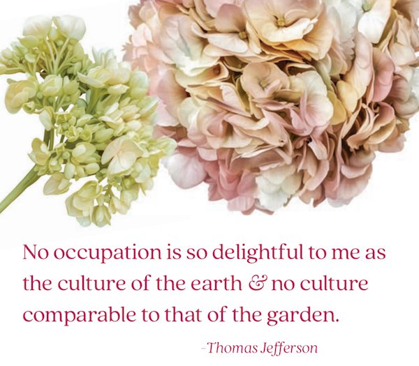 TJefferson Gardening quote.jpeg