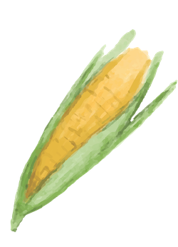 corn 2.png