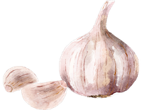 garlic.png