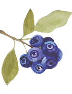 blueberries bunch.png