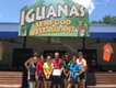 Iguana's Seafood Restaurant - Best Fried Shrimp