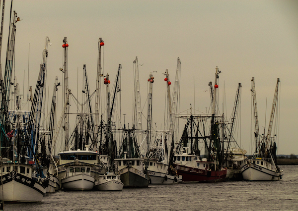 Darien Shrimp Boats