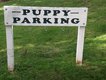 Puppy Parking