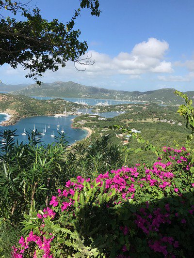 Antigua Barbuda flowers on hillside.JPG.jpg