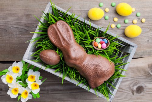 Easter Chocolate Bunny.jpg