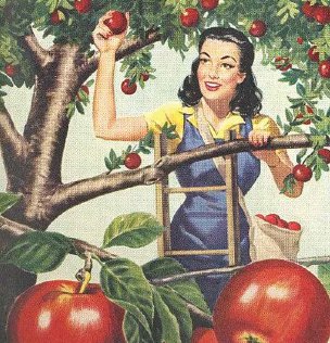 apple picking.png