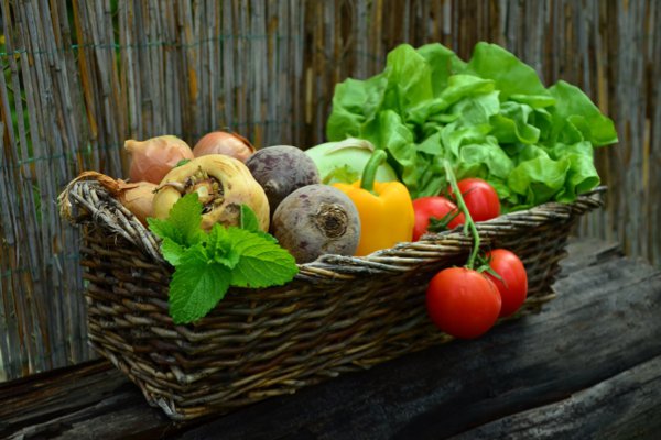 Basket of veggies