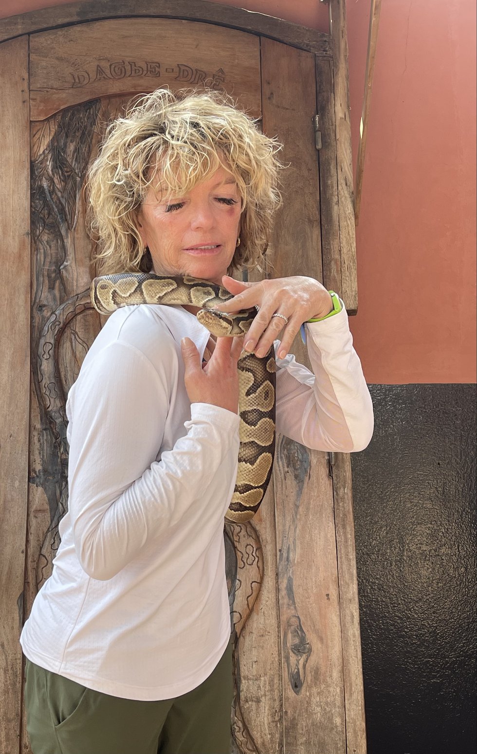 Janice with python