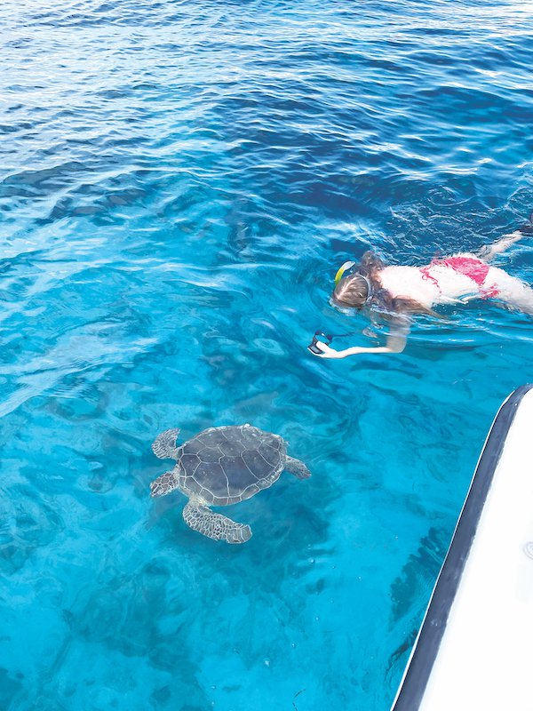 Green Sea Turtle and Haley.jpeg