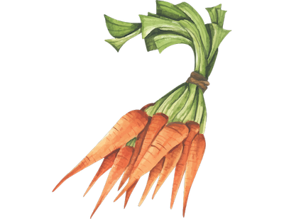 carrots 2.png