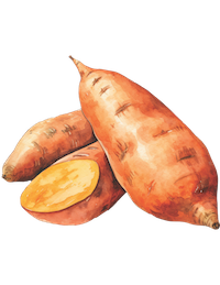 sweet potato 2.png