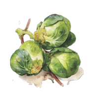 Brussels Sprouts.png