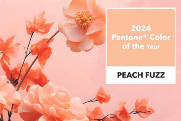 Pantone 2024 color of the year Peach Fuzz