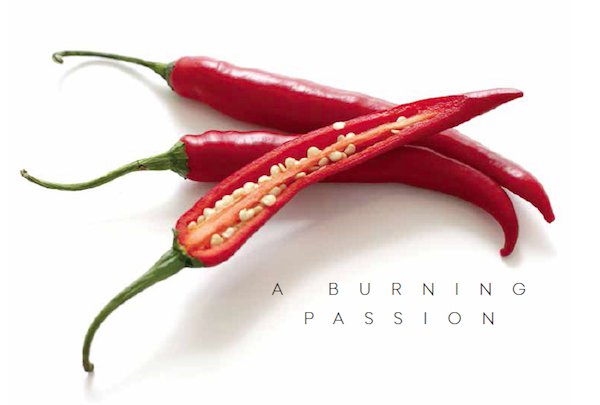 A Burning Passion Chiles.png