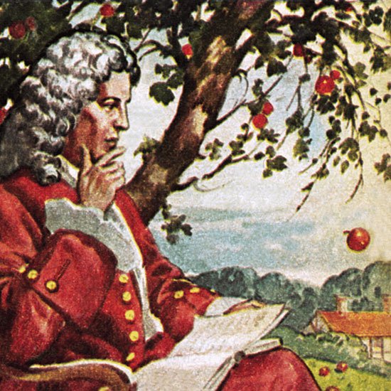 Isaac Newton Apple Tree.jpg
